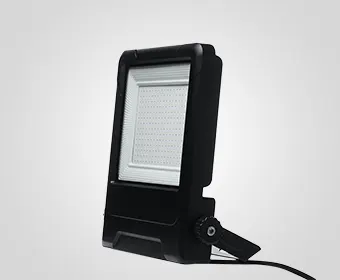 LED Flood Light EFL12