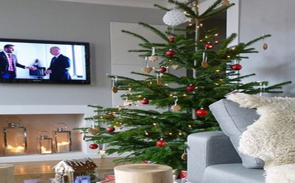 How to decorate your Christmas tree in 2022?(图2)